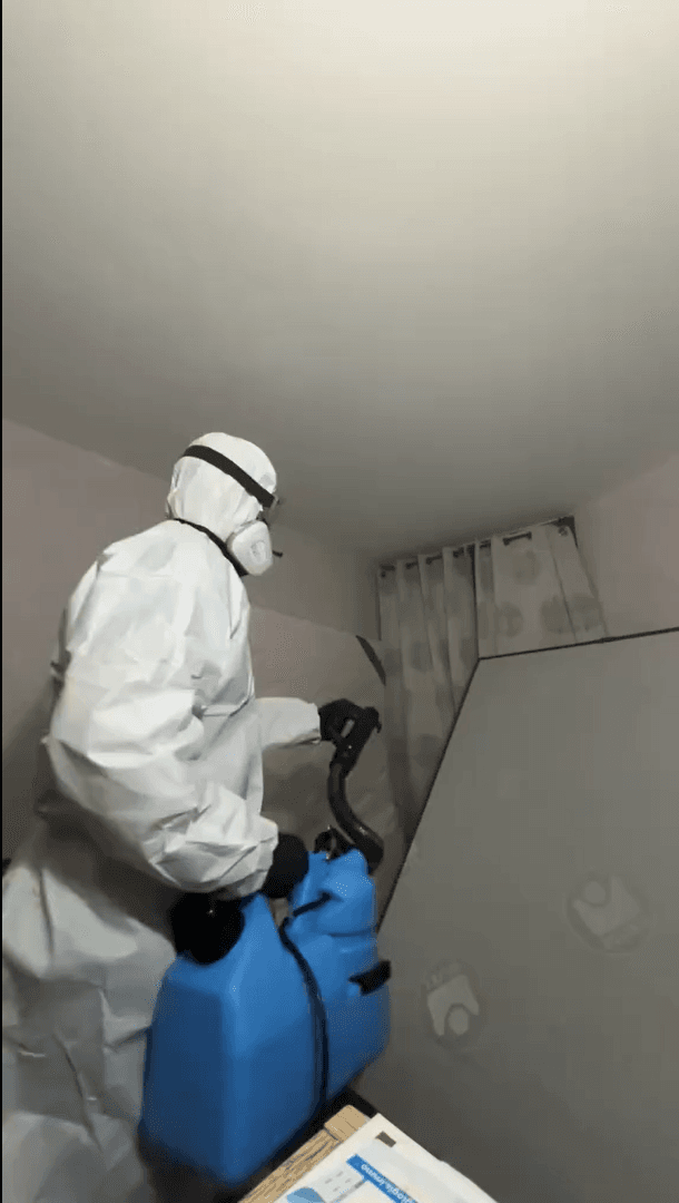 Technicien en intervention pour un traitement anti-punaises de lit